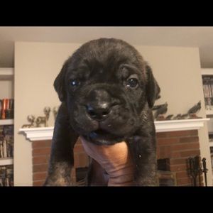 Meet your Posher, Loretta